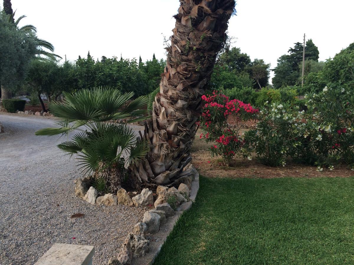 Jardí de Papallones Pollença Exterior foto